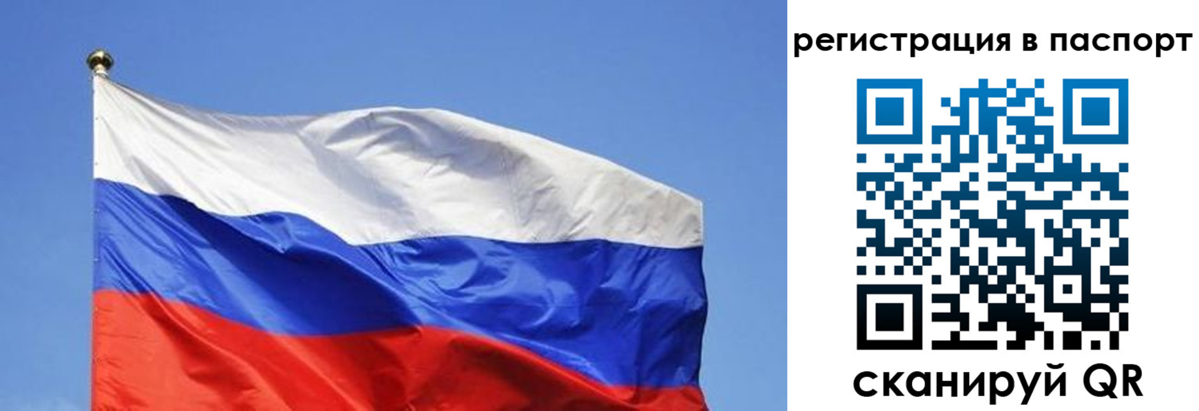 прописка в квартире в Советской Гавани